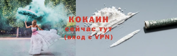 стаф Мегион