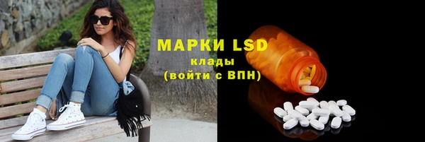 стафф Медвежьегорск