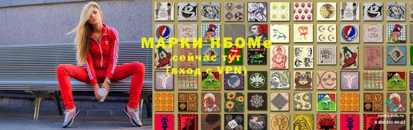 стафф Медвежьегорск