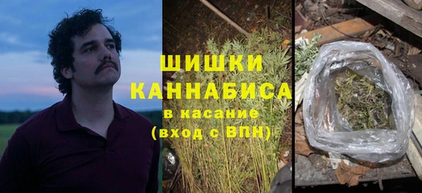 стаф Мегион