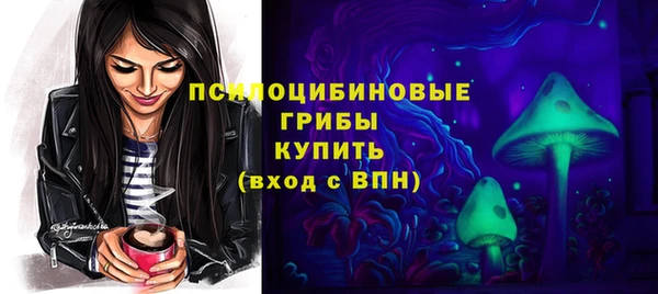 spice Медногорск