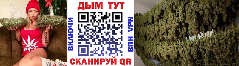 Бошки марихуана OG Kush  наркотики  Юрюзань 